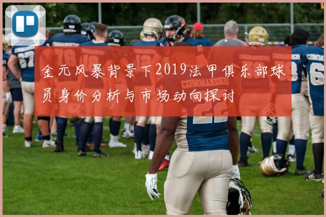 金元风暴背景下2019法甲俱乐部球员身价分析与市场动向探讨