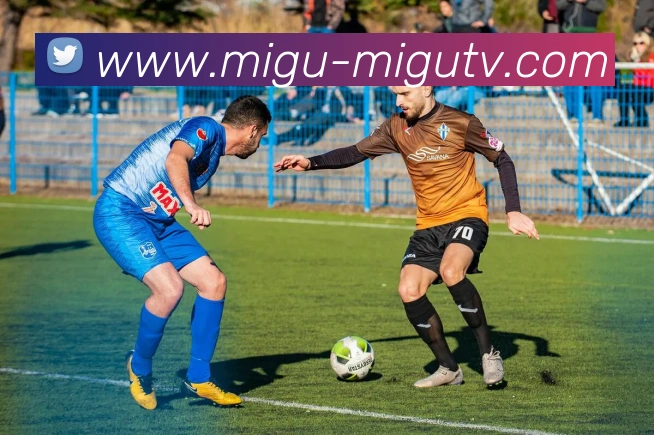 足球直播服务体系